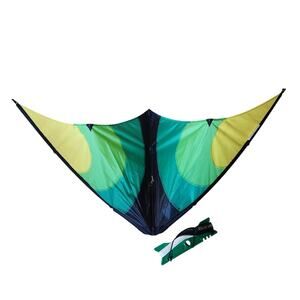 Lightning By Premier High Performance Entry Level Sport Kite 47x23